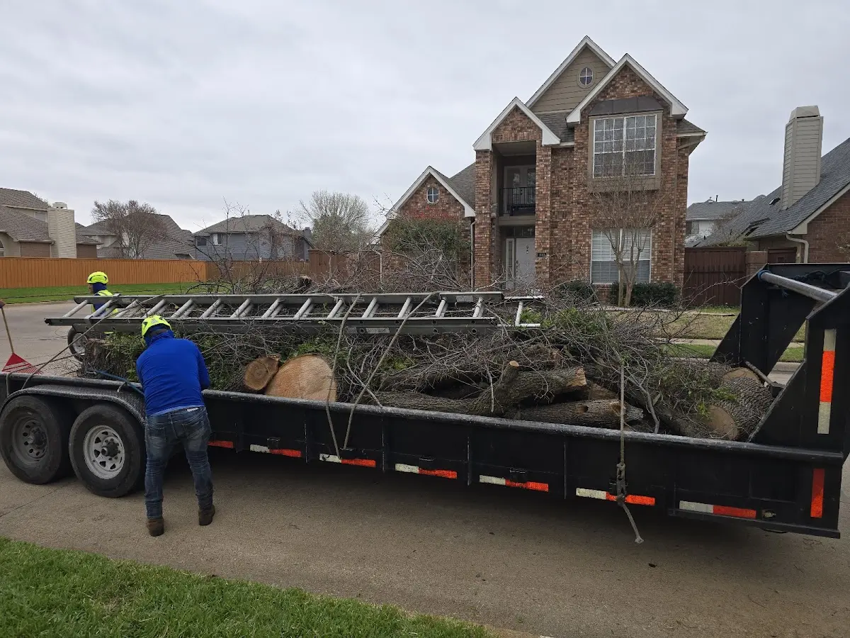Expert Crown Reduction with proper safety equipment in Boonville